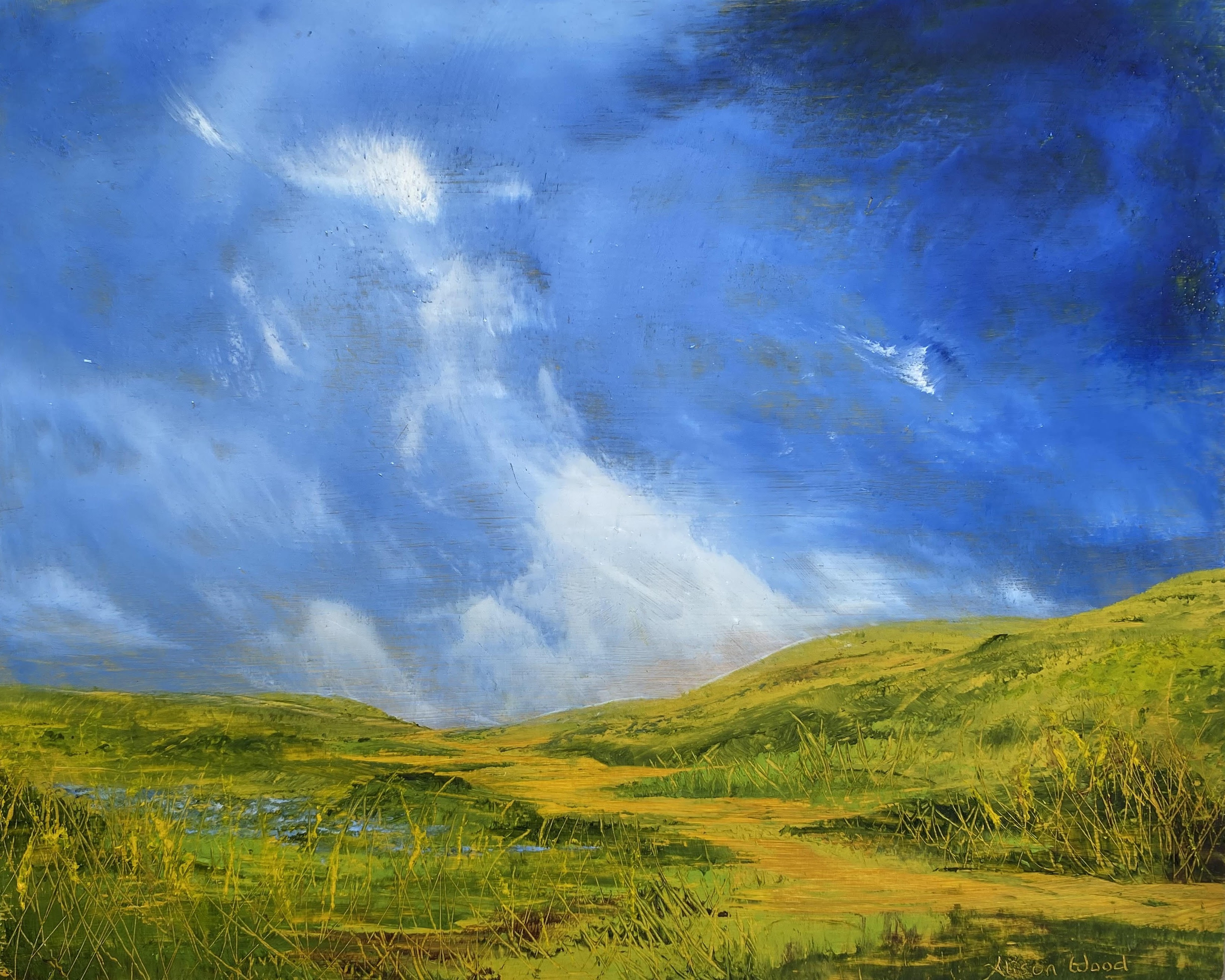 An exhibition of Alison Wood's work will be on display from 19th January until 21st February 