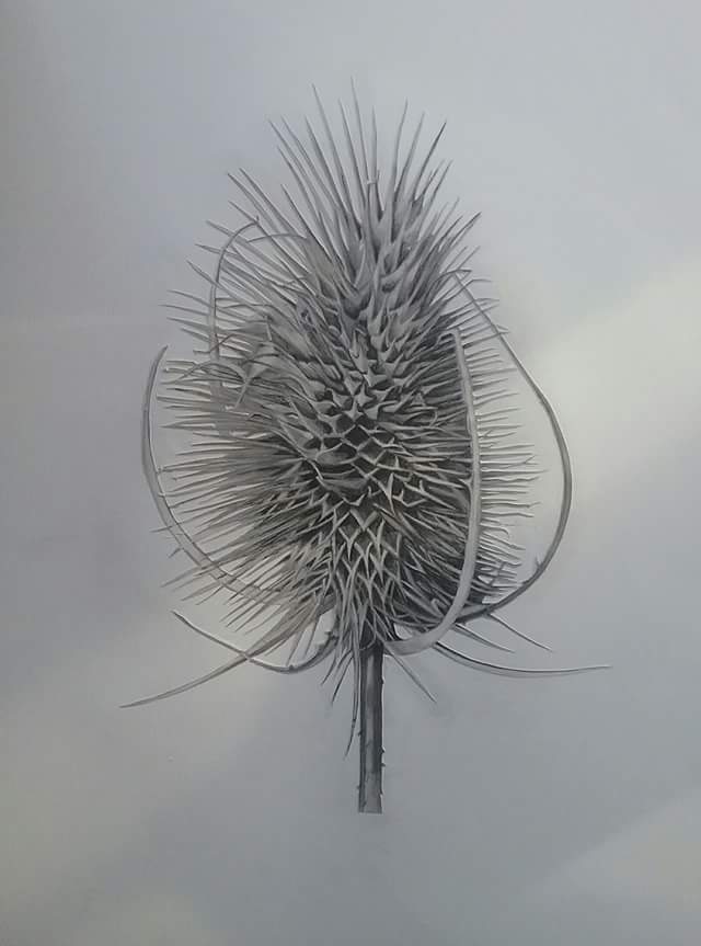 Paper Cut Graphite Drawing