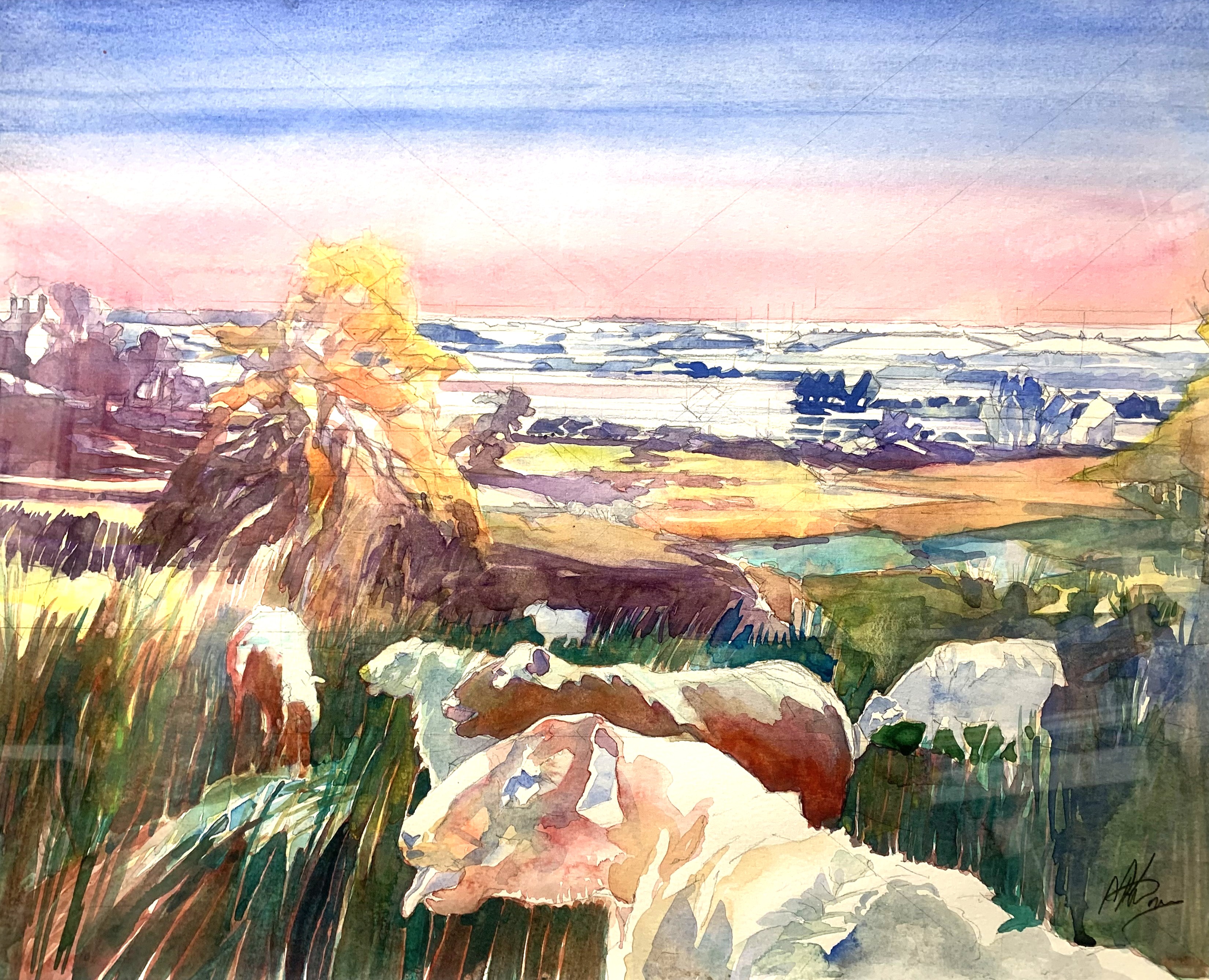 Sheep at Rutland Water