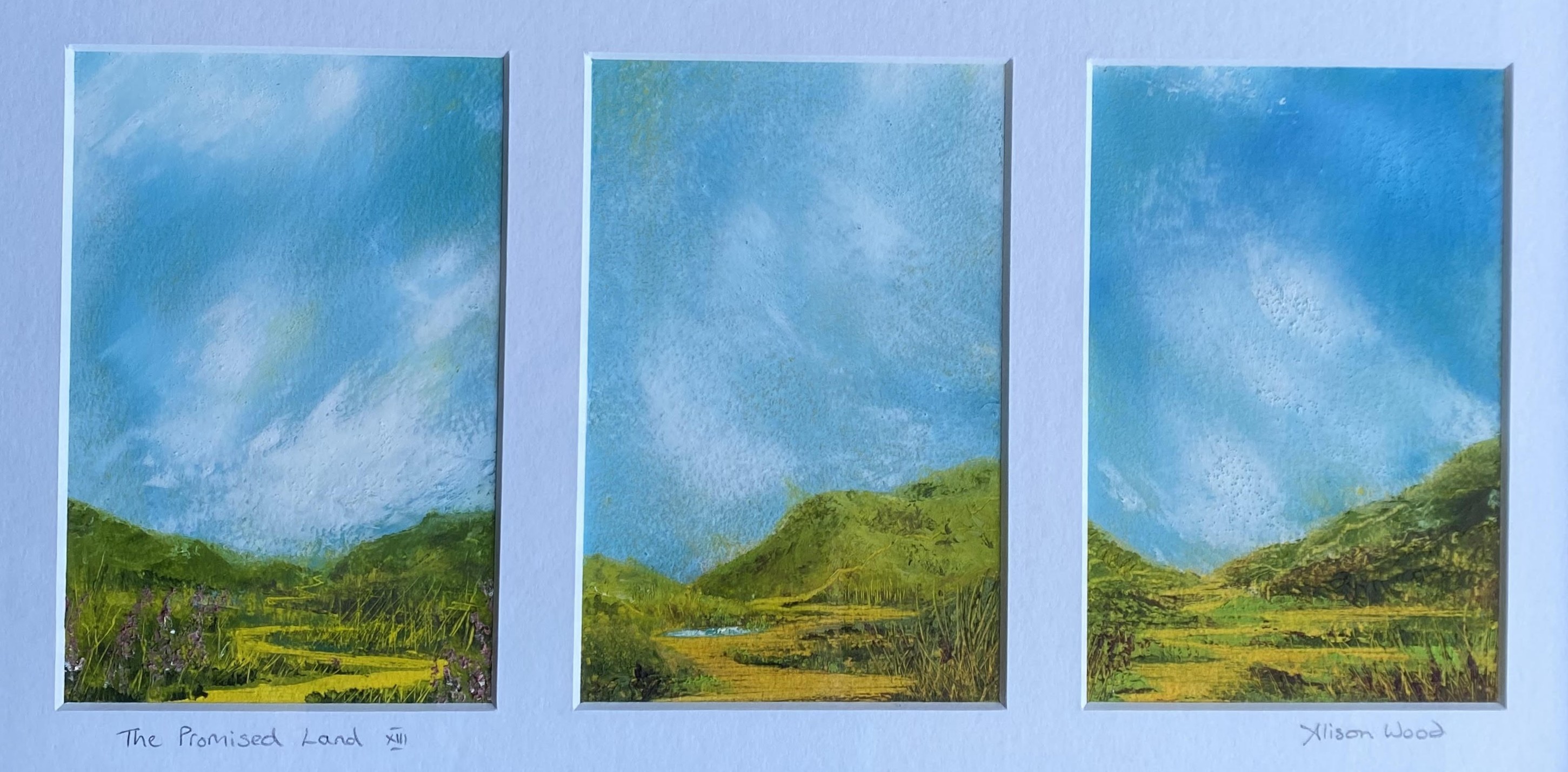 The Promised Land XIII