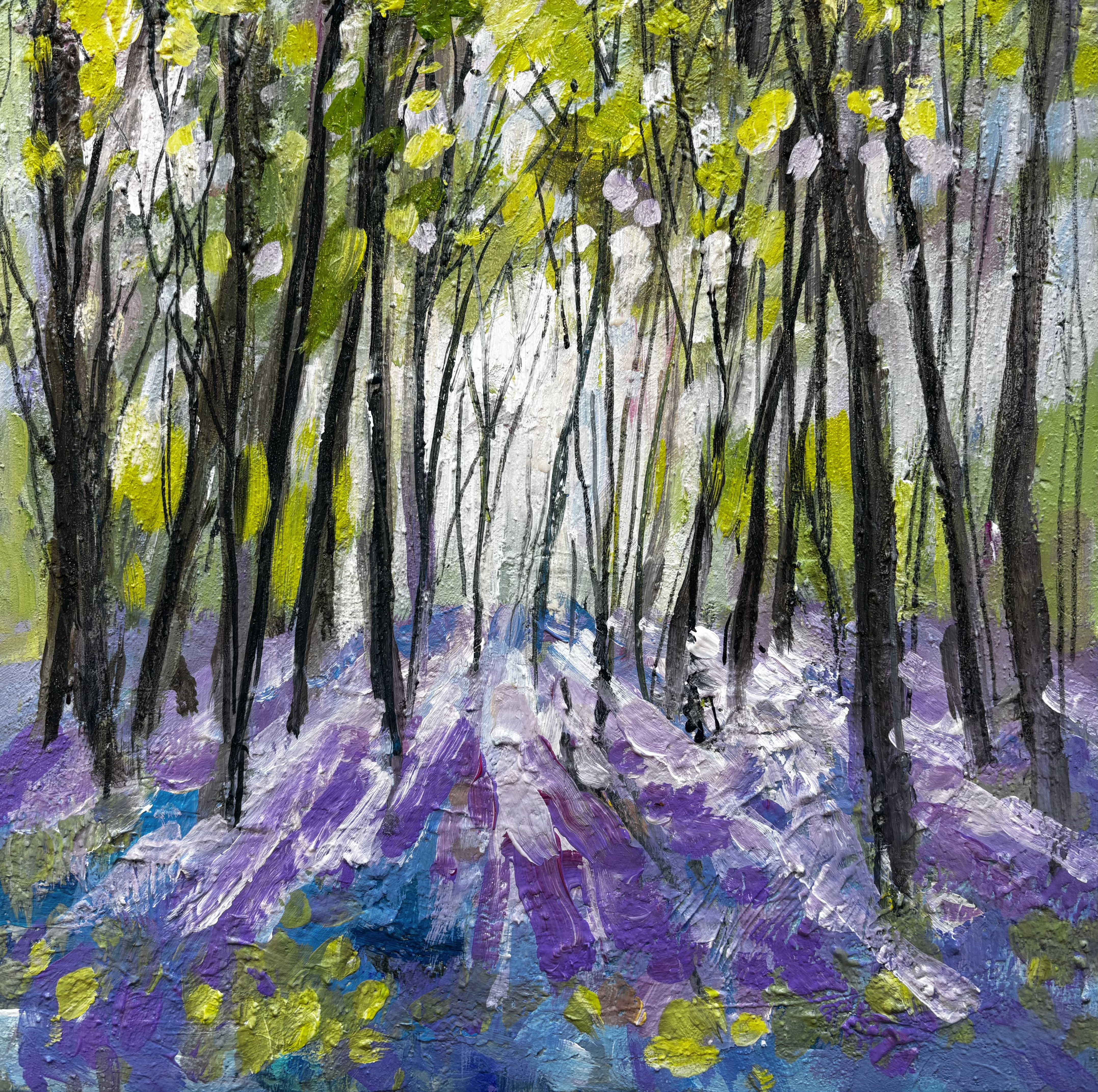 BacklitBluebells at Barnsdale, Rutland